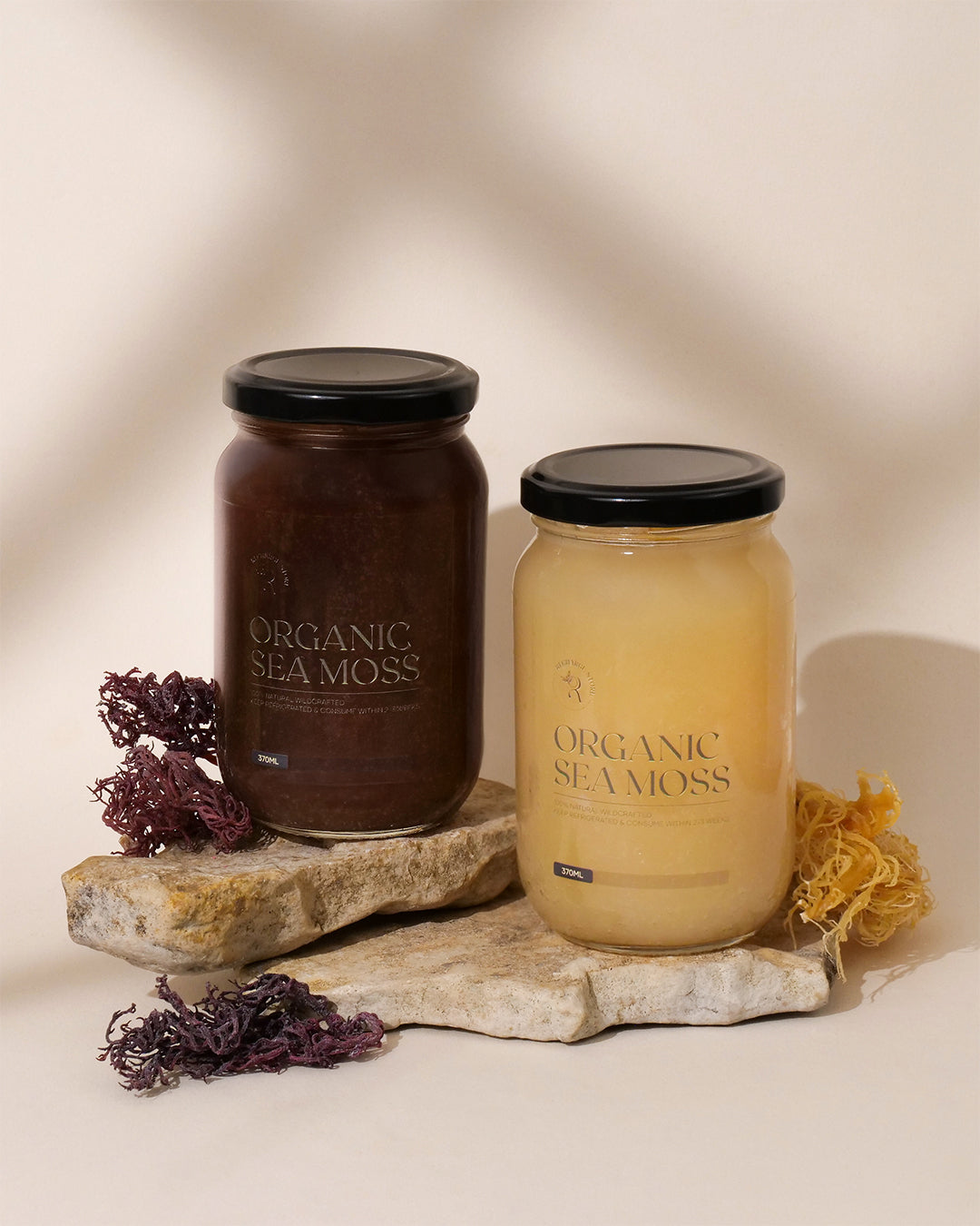 Purple Sea Moss: Nature’s Antioxidant-Rich Superfood
